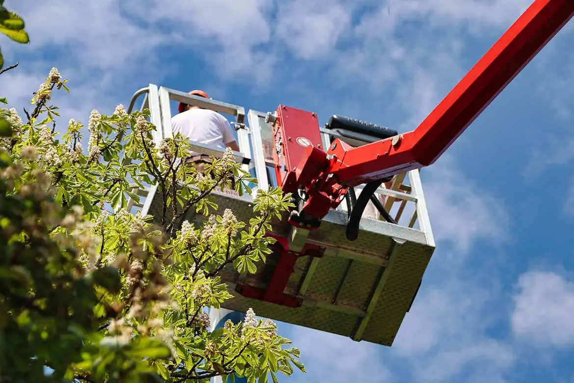 Hubarbeitsbühnen Führerschein