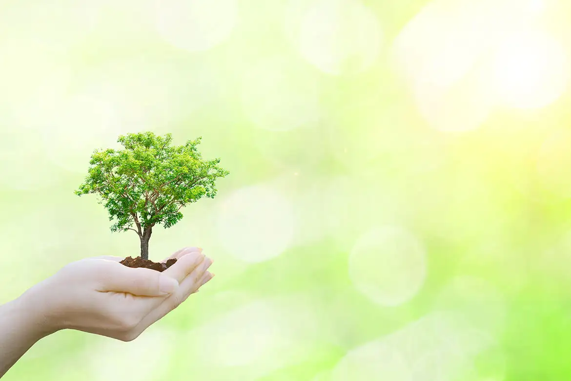 Umweltmanagement mit ARSI-Q